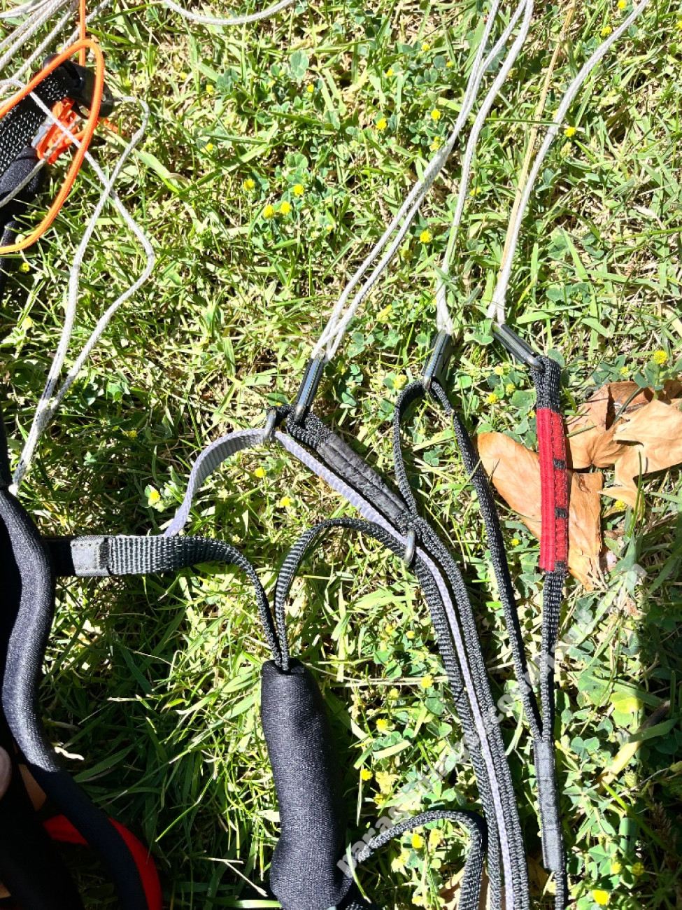 Swing Mirage2rs, 11, 2023, (55-100kg), 5h - Image 5