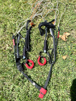 Swing Mirage2rs, 11, 2023, (55-100kg), 5h