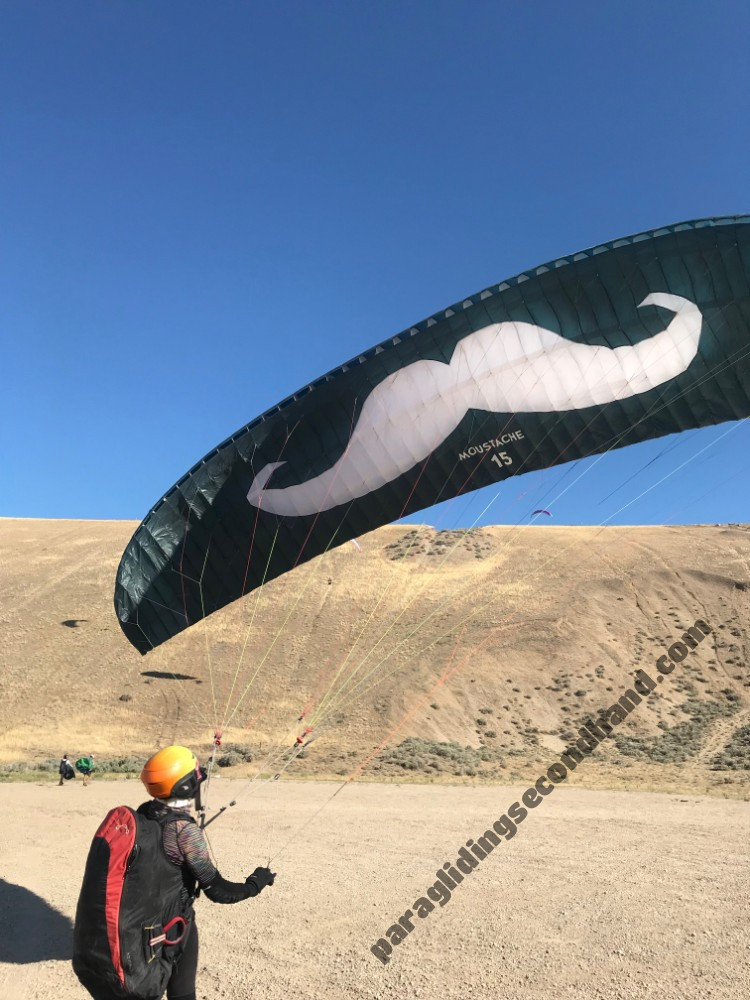 Flare Moustache, 15, 2022, (60-80kg), 38h - Image 6
