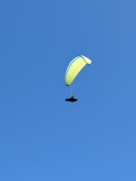 Nova Mentor 5, XS, 2017, (70-90kg), 110h