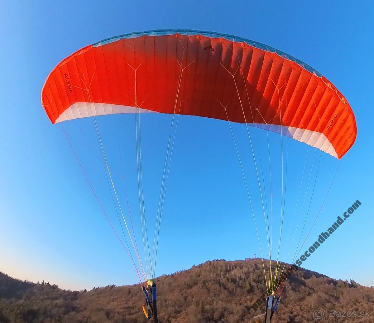 Advance Alpha 7, 26, 2024, (70-95kg), 20h - Immagine 6