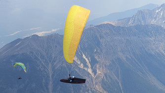 GIN Gliders Genie Race 5, M, 2025