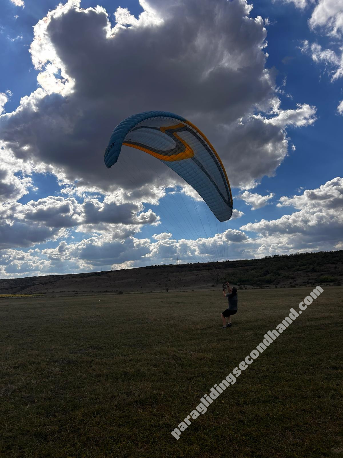 Sky Apollo, L, 2016, (85-108kg), 70h - Image 10