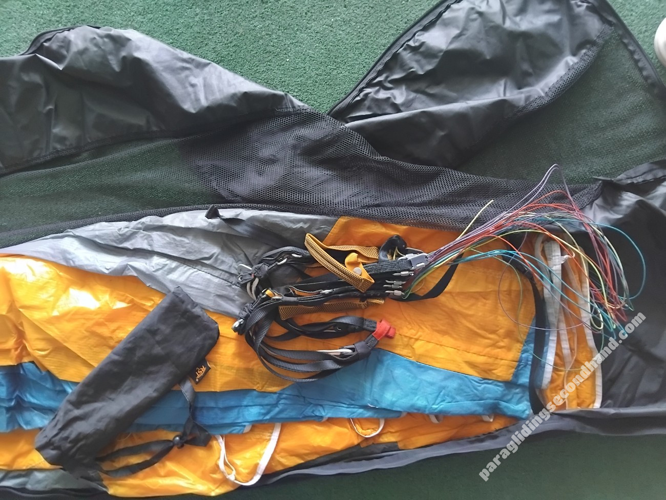 Sky Apollo, L, 2016, (85-108kg), 70h - Image 4