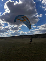 Sky Apollo, L, 2016, (85-108kg), 70h