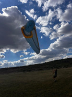 Sky Apollo, L, 2016, (85-108kg), 70h