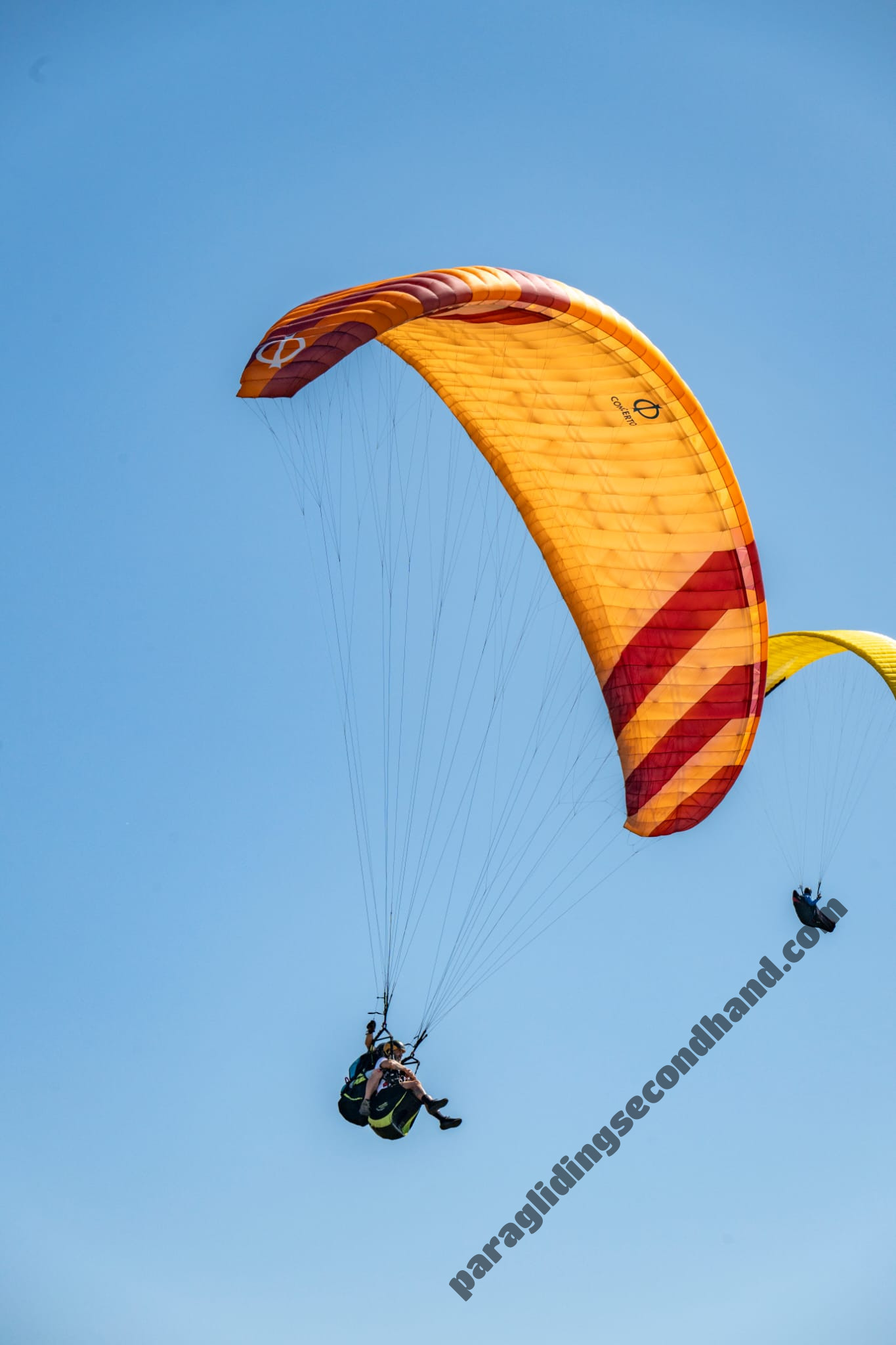 Phi concerto, 36, 2024, (120-240kg), 120h
