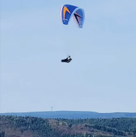 Swing Arcus 2 rs, L, 2023, (95-115kg), 70h