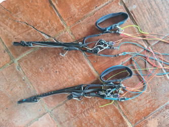 Ozone Alpina 4 GT, S, 2025, (65-85kg), 36h