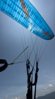 Ozone Alpina 4 GT, S, 2025, (65-85kg), 36h