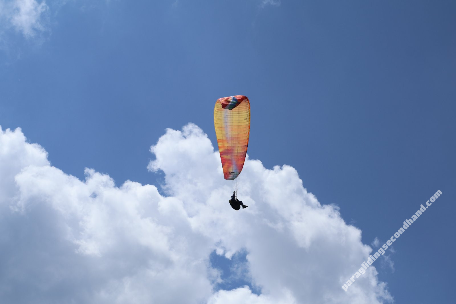 BGD Epic2, L, 2025, (100-125kg), 50h - Image 5