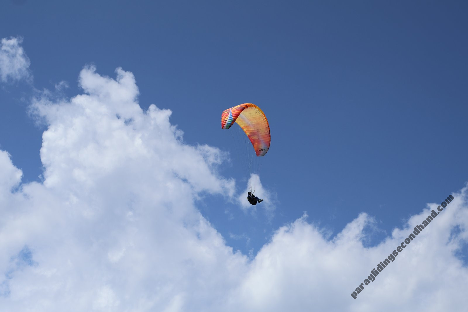 BGD Epic2, L, 2025, (100-125kg), 50h - Image 2