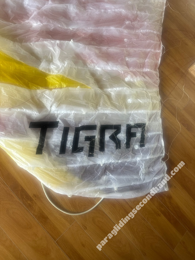 BGD Tigra, M, 2026, (75-95kg), 19h - Image 2