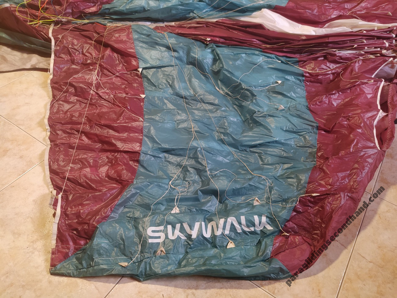 Skywalk Chili 5, Xxs, 2021, (55-85kg), 50h - Image 10