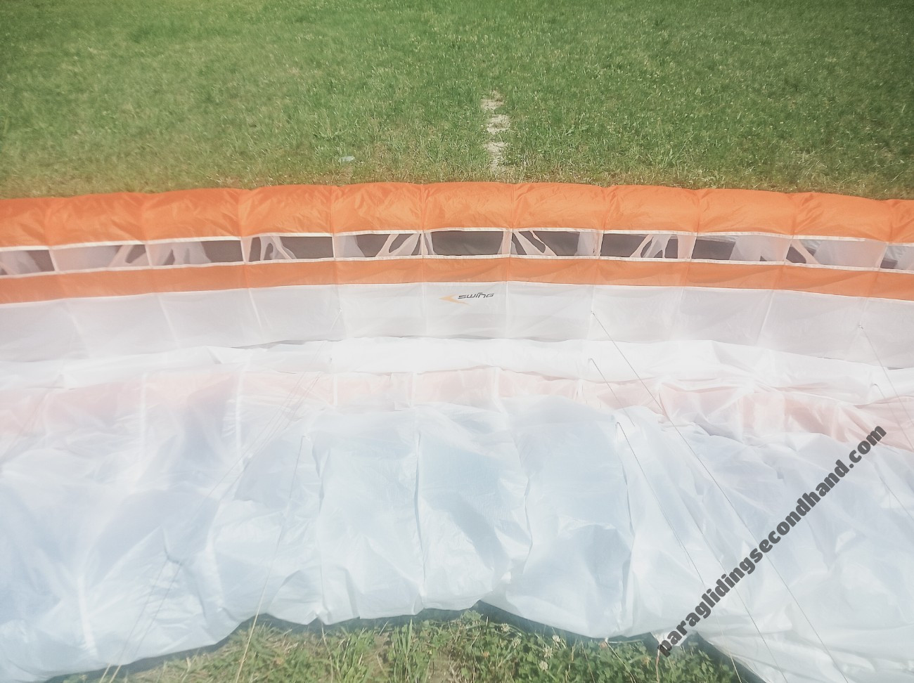 Swing Arcus 2 RS, L, 2024, (95-115kg), 20h - Image 4