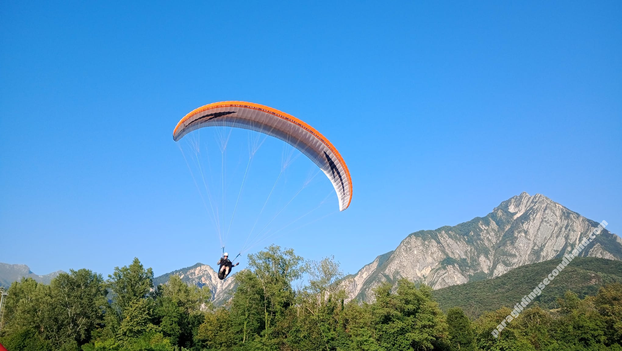 Swing Arcus 2 RS, L, 2024, (95-115kg), 20h - Image 2