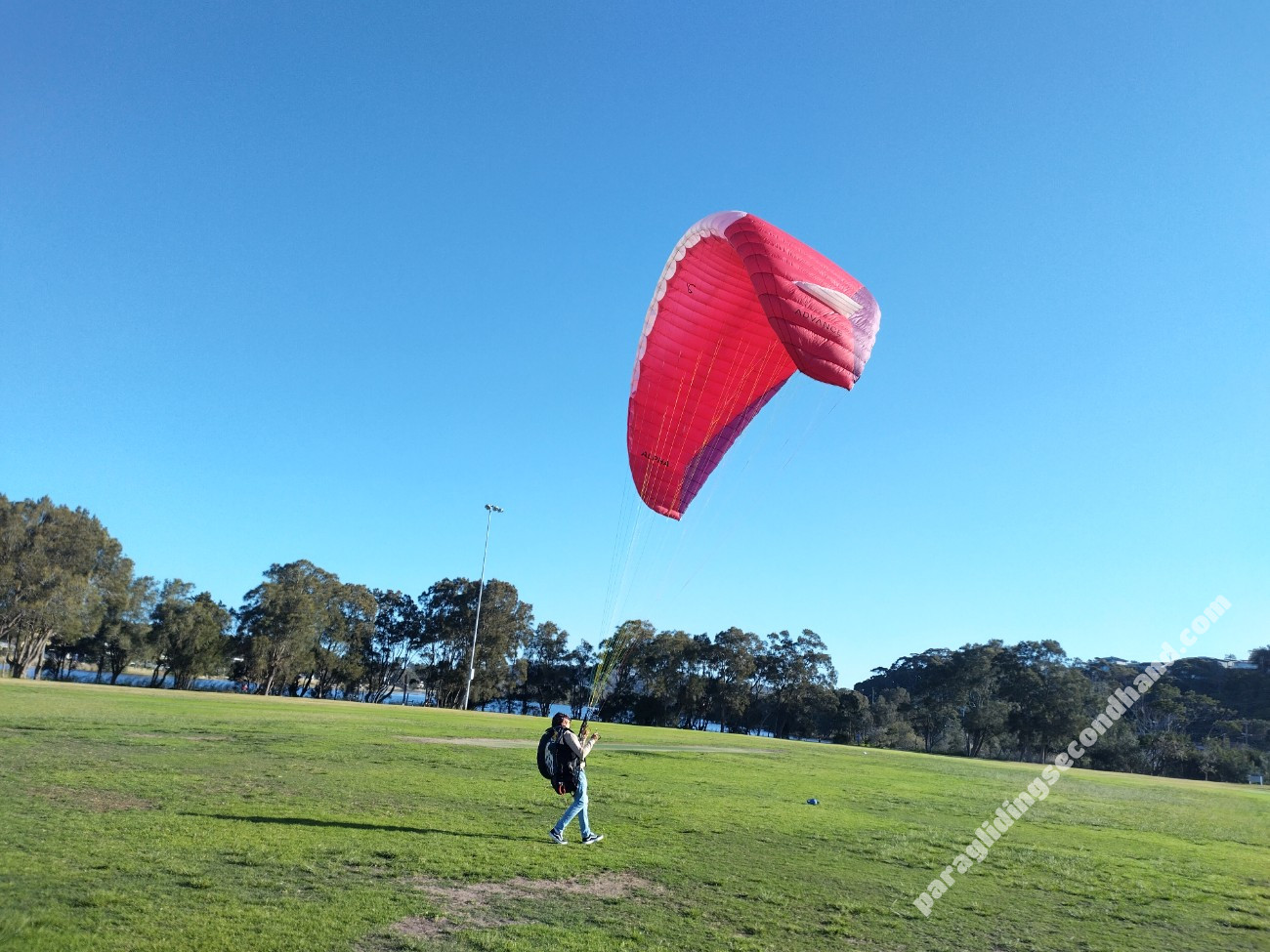 Advance Alpha 7, 26, 2022, (80-100kg), 70h - Image 6