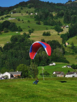 Paraglider Leeloo2 von Profly.com, S, 2024, (70-85kg), 60h
