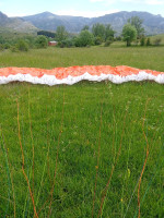Windtech Honey3, L, 2024, (105-125kg), 10h