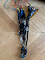 Advance Sigma DLS, 24, 2024, (80-100kg), 12h