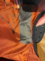 Kortel Design Kolibri Evo, L, 2022
