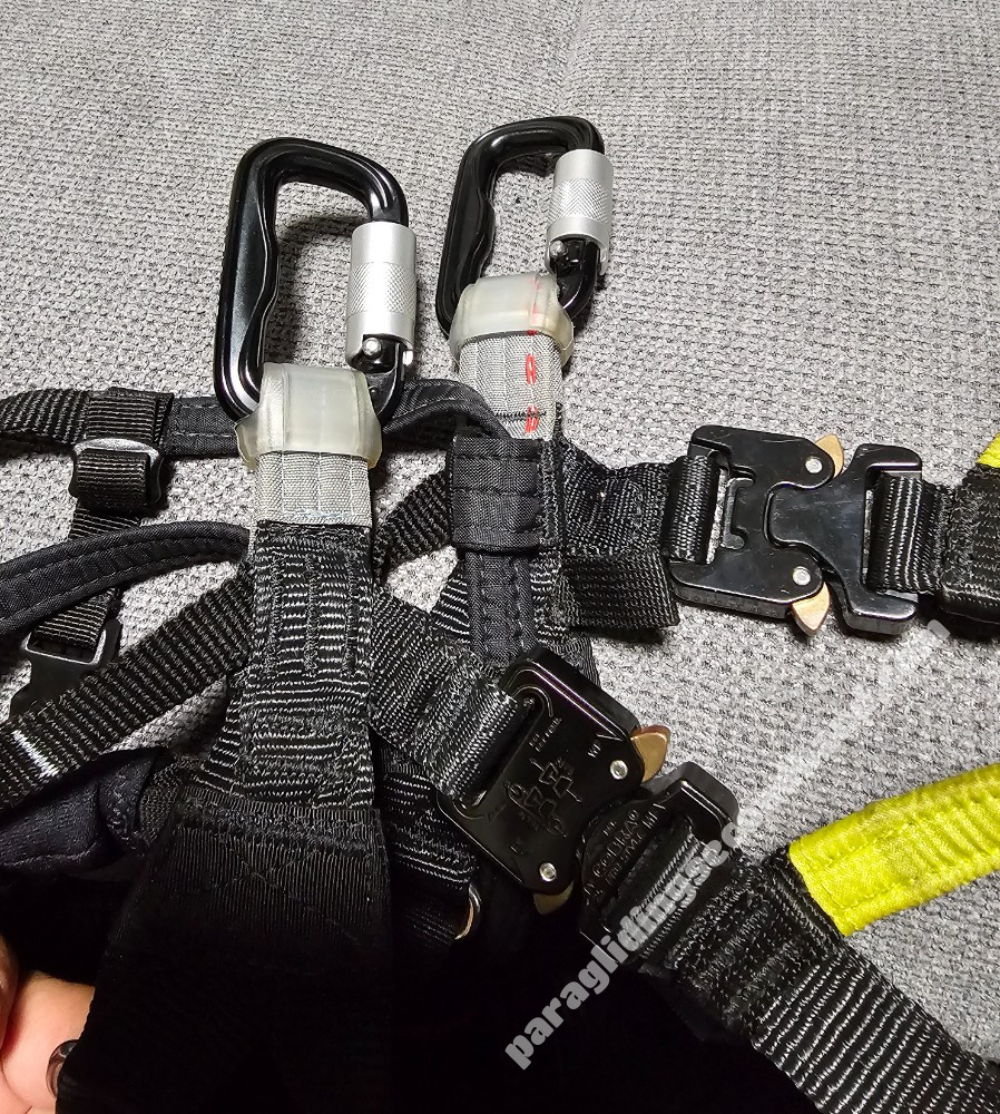 Advance Progress 3, L, 2023 - Image 6