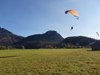 Phi Viola, 18, 2020, (55-90kg), 14h
