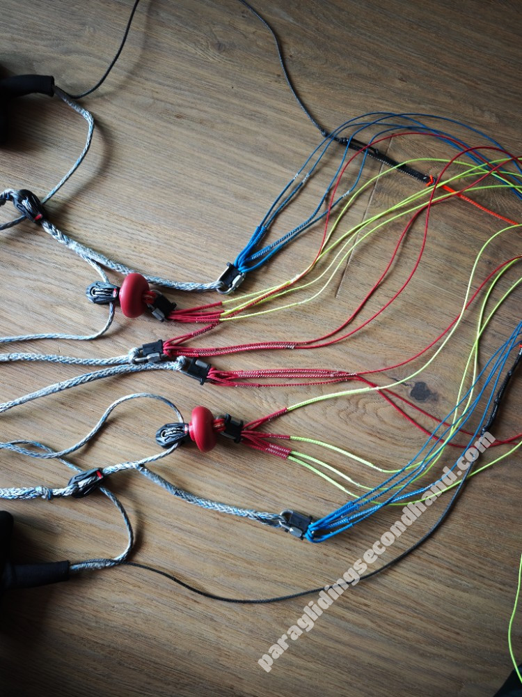 Flare Moustache, 13, 2024, (50-120kg), 8h - Image 8