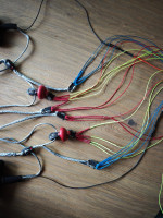 Flare Moustache, 13, 2024, (50-120kg), 8h