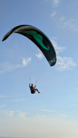Flare Moustache, 22, 2022, (80-130kg), 40h