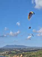 U-Turn Morpheus, 21, 2021, (75-95kg), 50h