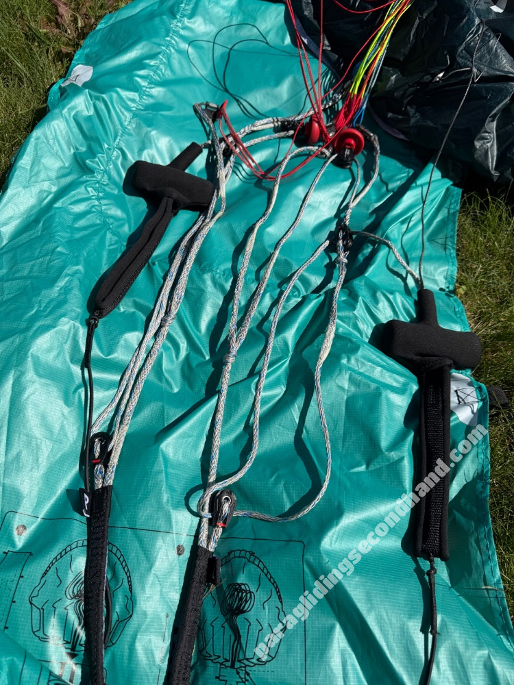 Flare Moustache, 15, 2025, (0-120kg), 10h - Image 10