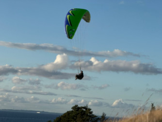 U-Turn Joker, 19, 2024, (70-120kg), 0h