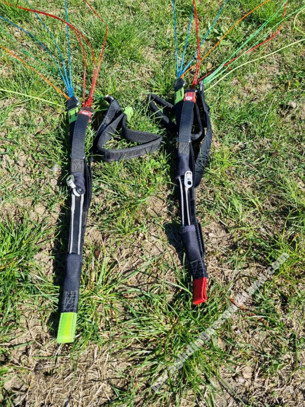 BGD Magic, S, 2019, (60-80kg), 60h - Image 7