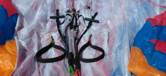 BGD Diva 2, M, 2024, (80-100kg), 80h