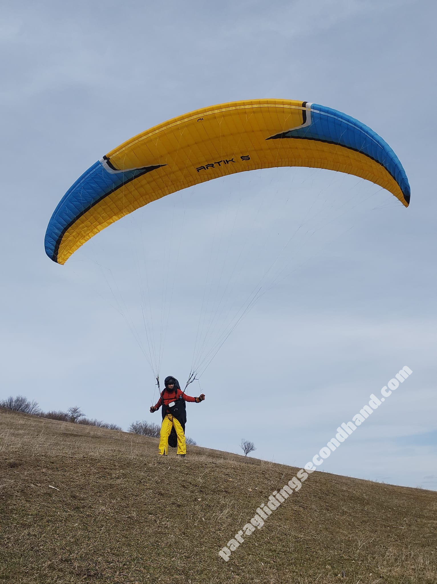 Niviuk Artik 5, 24, 2018, (75-95kg), 180h - Image 2