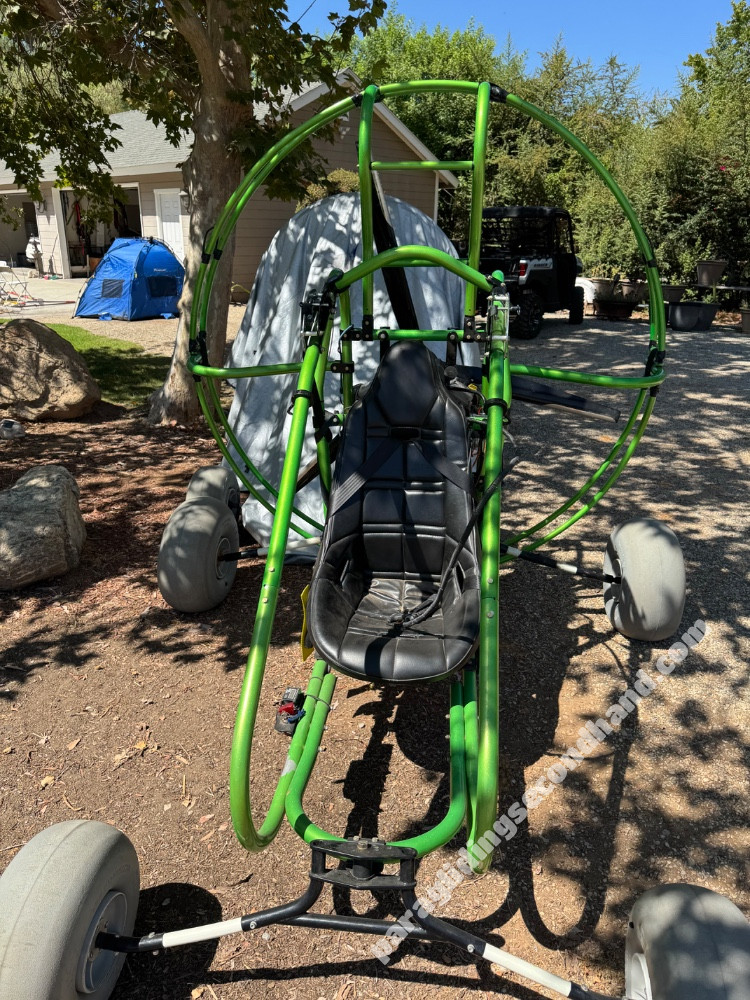 Green eagle - Image 2
