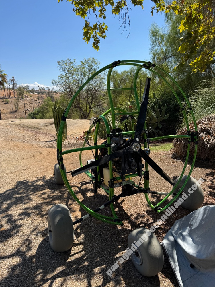 Green eagle - Image 3
