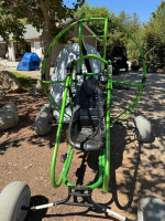 Green eagle