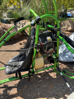 Green eagle