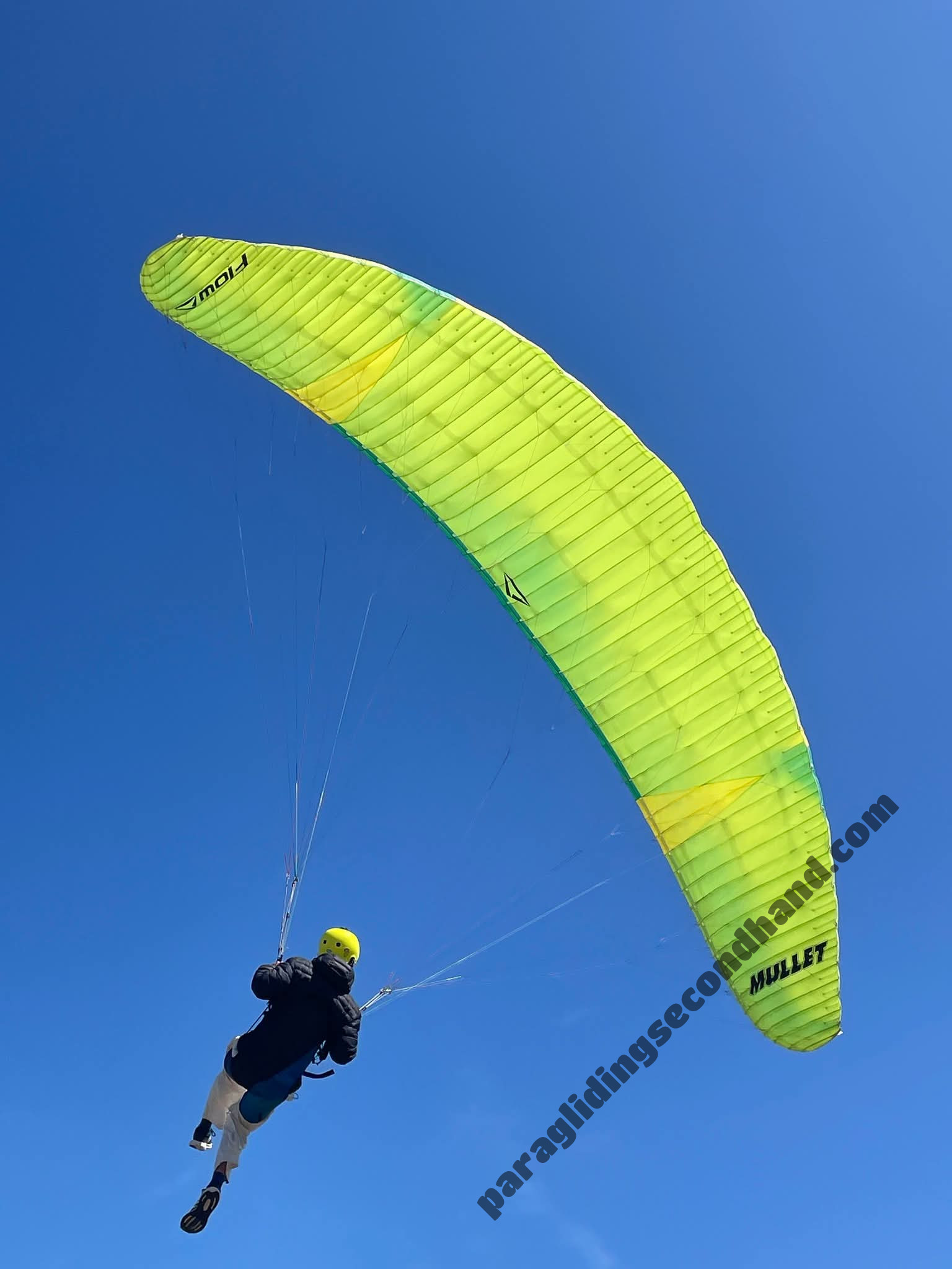 Flow Mullet, 18, 2025, (50-100kg), 5h - Image 2