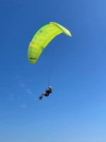 Flow Mullet, 18, 2025, (50-100kg), 5h