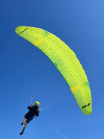 Flow Mullet, 18, 2025, (50-100kg), 5h