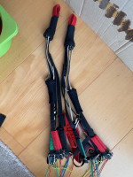 Phi Tenor, 19, 2020, (65-85kg), 25h