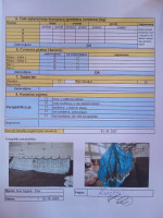 Ozone Buzz Z6, L, 2020, (95-115kg), 15h