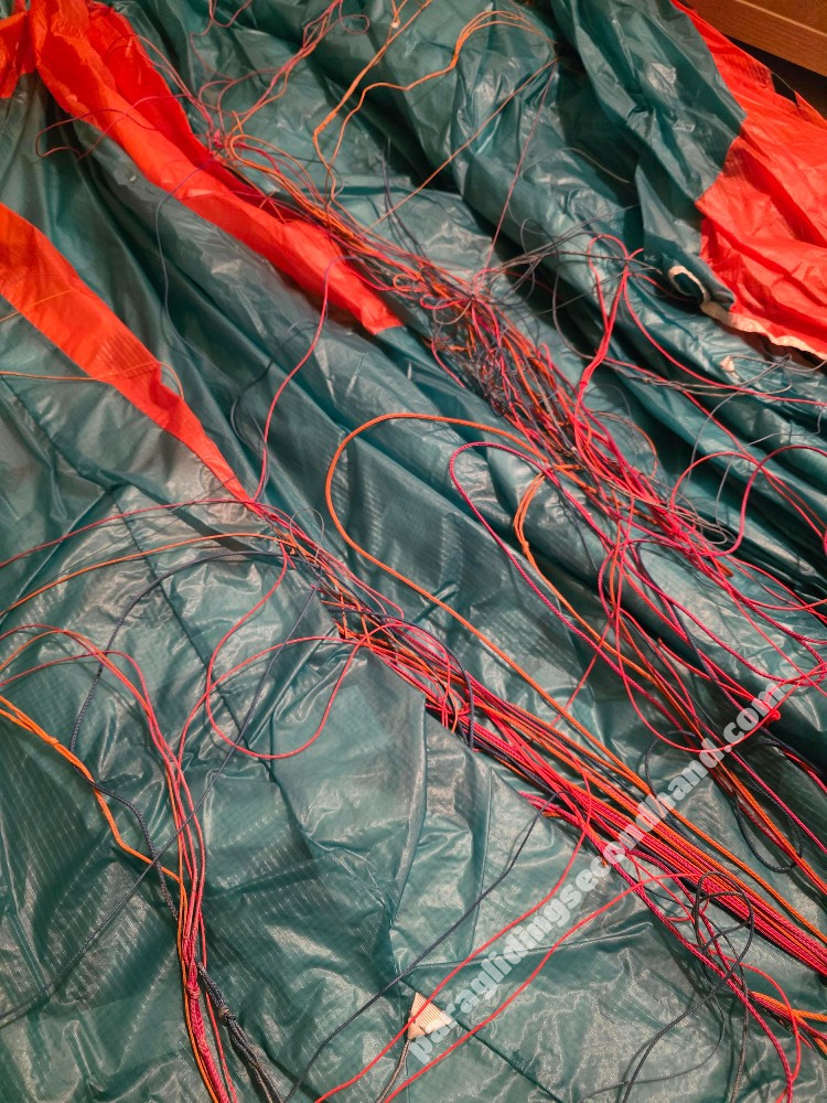 Flare Line, 11, 2024, (50-110kg), 30h - Image 6