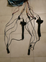 Flare Line, 11, 2024, (50-110kg), 30h