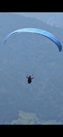 GIN Gliders Calypso, M, 2022, (80-105kg), 40h