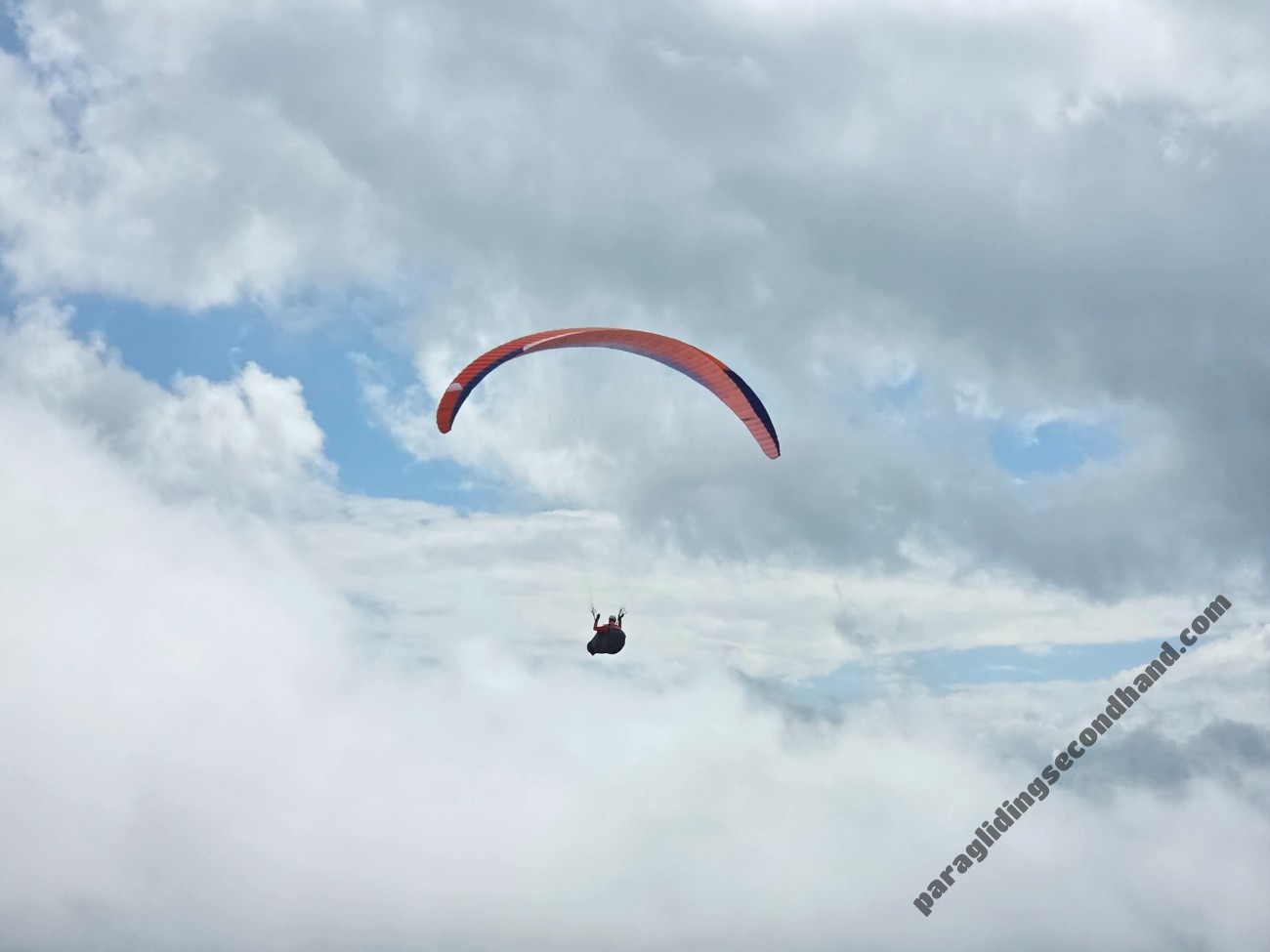 Little Cloud urubu 2, 25, 2026, (80-100kg), 60h - Image 3