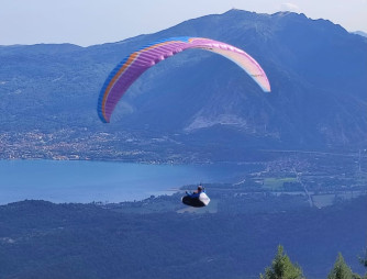 Ozone Swift 5, S, 2020, (65-85kg), 300h